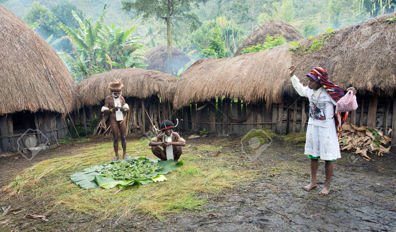 WAMENA, PAPUA, INDONESIA - JUNE, 20 Papuan Woman In The Modern.. Stock  Photo, Picture And Royalty Free Image. Image 25219354.