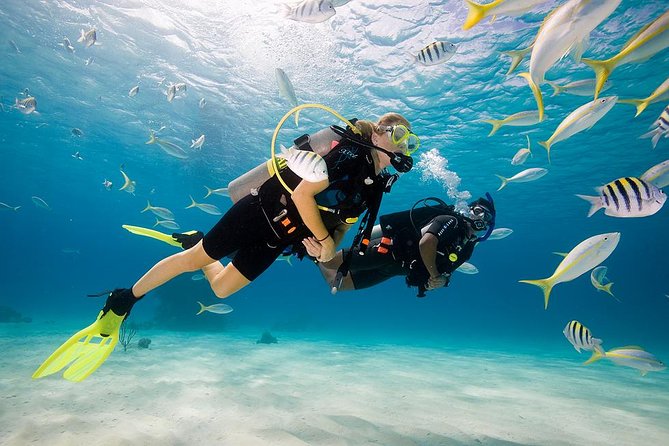 Bali Scuba Diving for Beginner 2021 - Tanjung Benoa