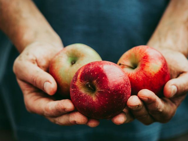 Makan Apel Setiap Hari, Apa Itu Baik Untuk Kesehatan? Ini Penjelasannya