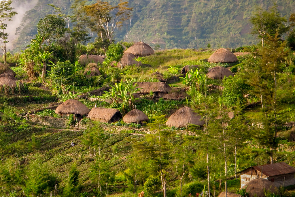 Tips Jalan - Jalan ke Wamena di Papua